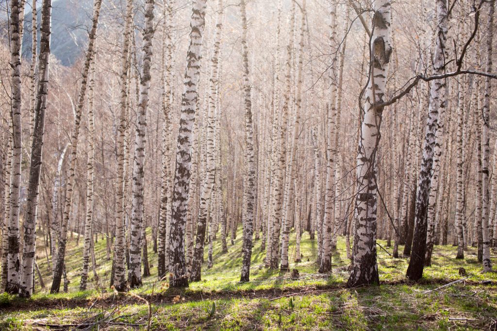 Personalization – The Magic Pill of&nbsp;Marketing